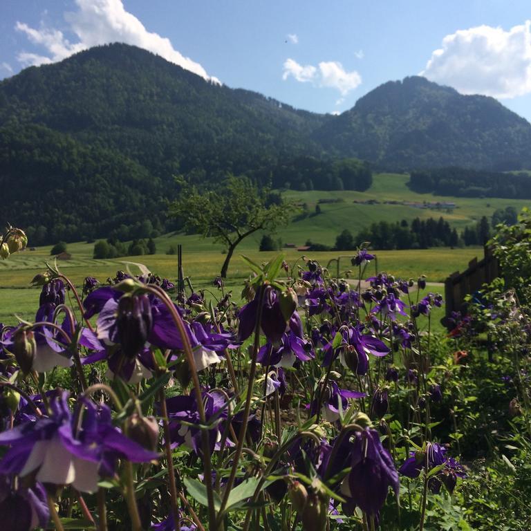 Schifterhof Ruhpolding Villa Ngoại thất bức ảnh